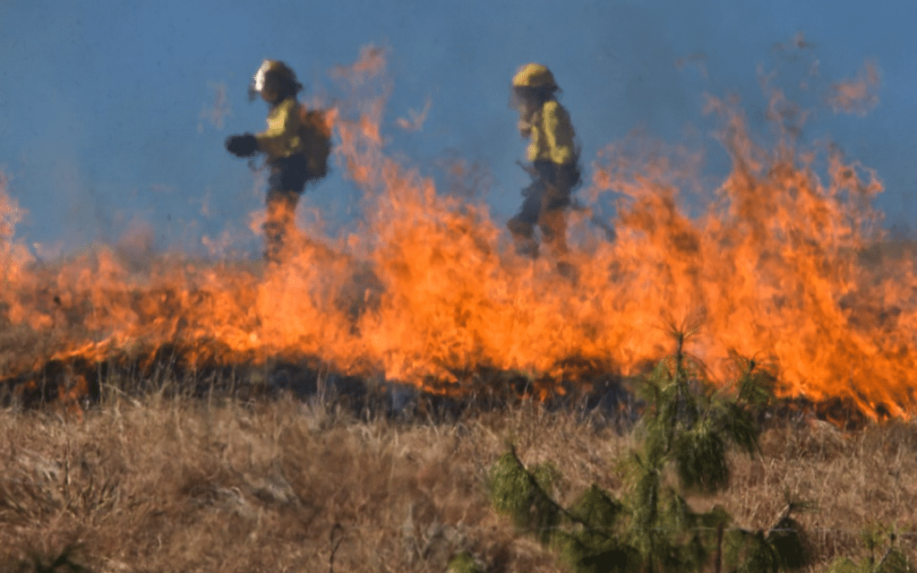 bushfire-management-plan-bushfire-management-plan